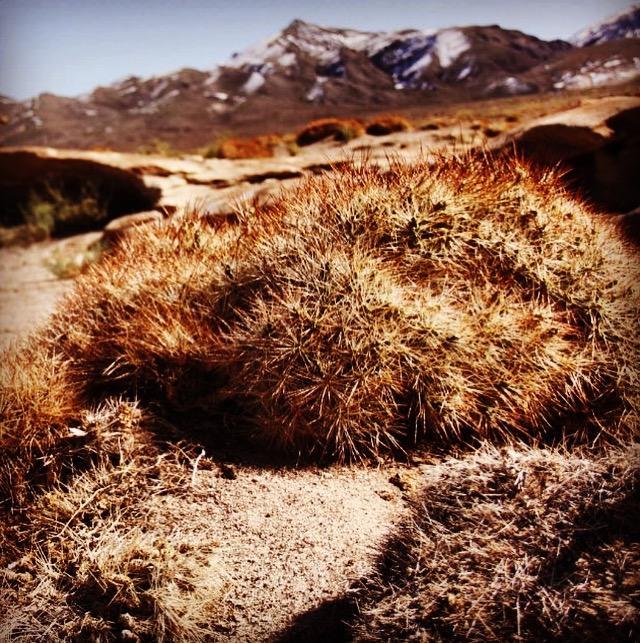 Cota6000 Dpto A San Pedro de Atacama
